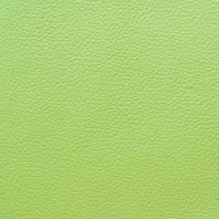 Материал: Soft Leather (), Цвет: Kiwi